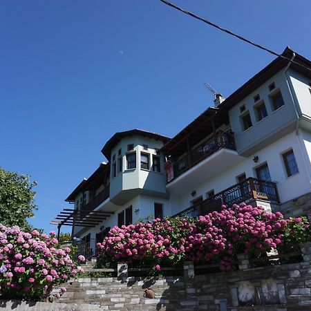 Artemisia House Hotel Tsagarada Exterior photo